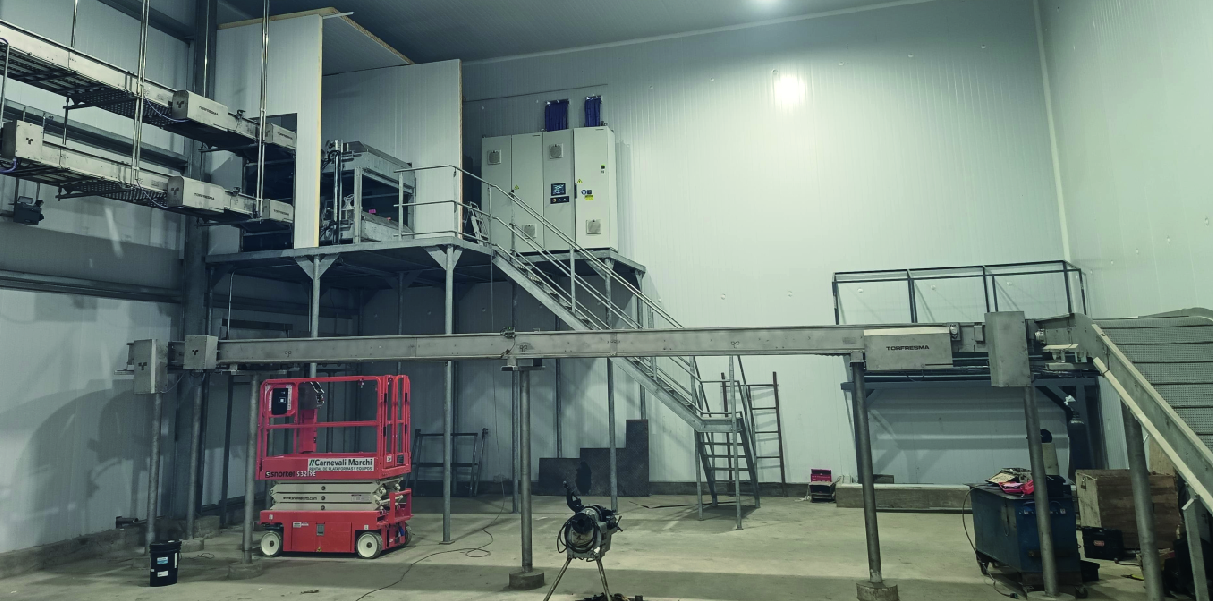 Soychú Salto - Syconfrio Soychú Salto - Syconfrio