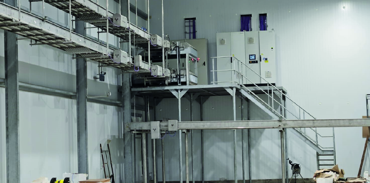 Soychú Salto - Syconfrio Soychú Salto - Syconfrio