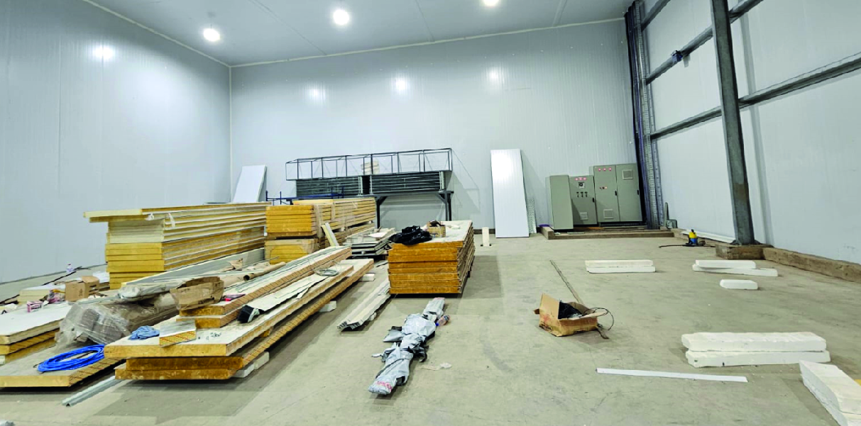 Soychú Salto - Syconfrio Soychú Salto - Syconfrio