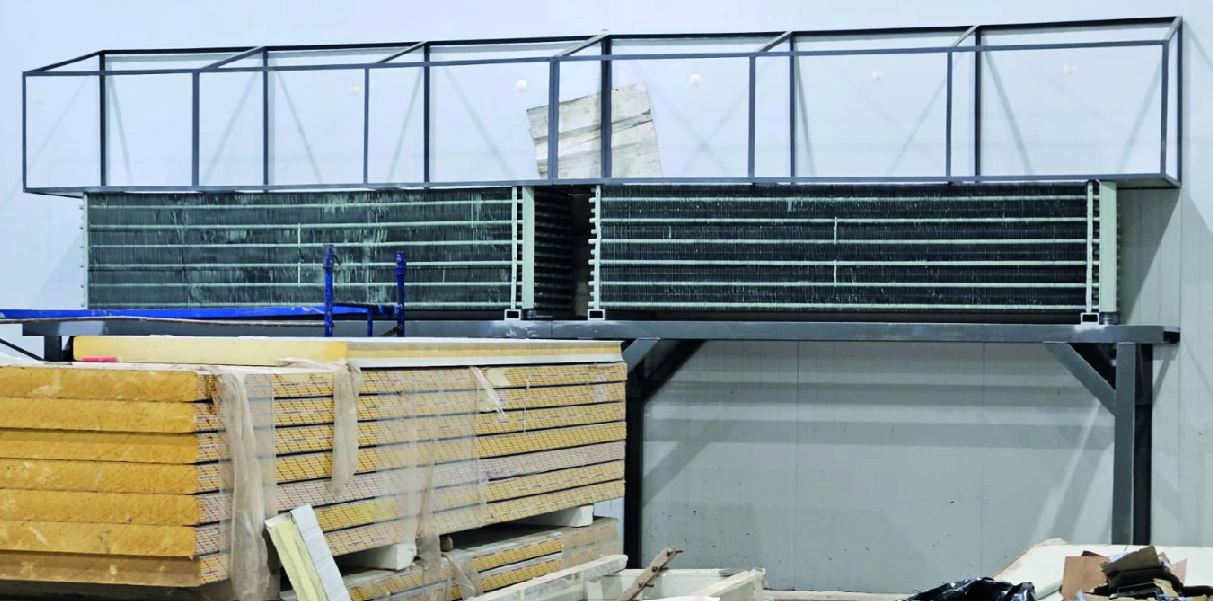 Soychú Salto - Syconfrio Soychú Salto - Syconfrio