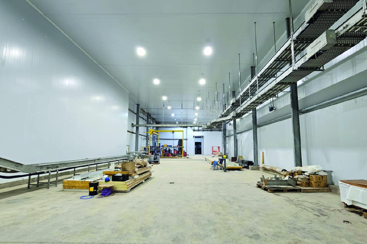 Soychú Salto - Syconfrio Soychú Salto - Syconfrio