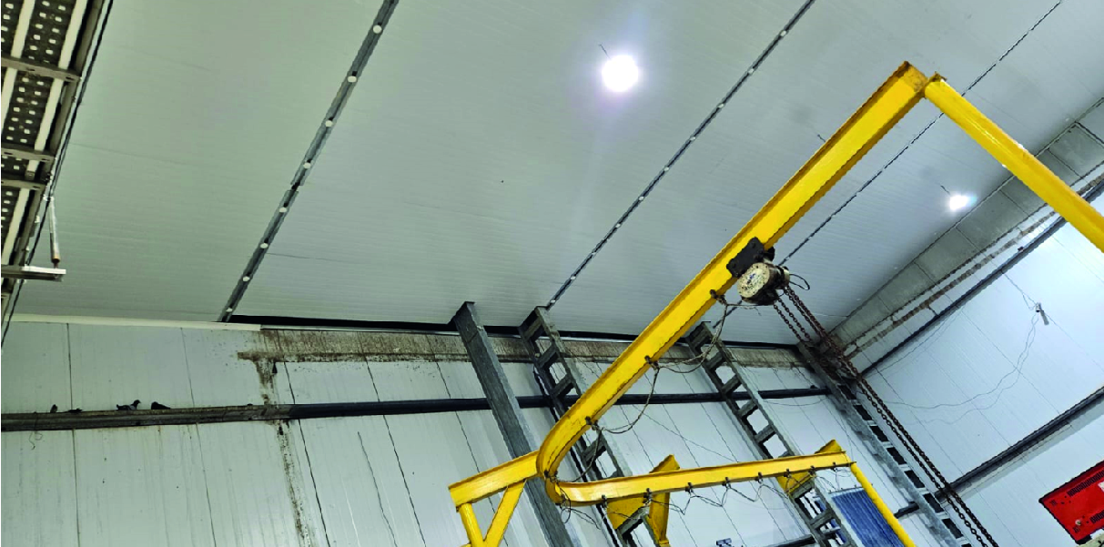 Soychú Salto - Syconfrio Soychú Salto - Syconfrio