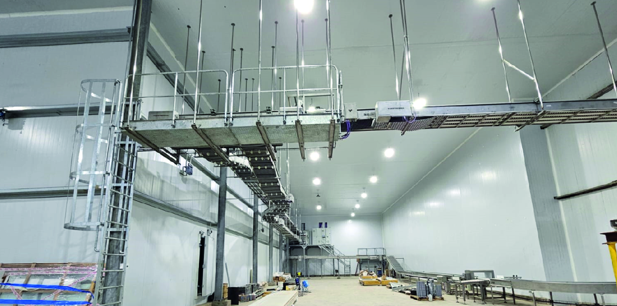 Soychú Salto - Syconfrio Soychú Salto - Syconfrio