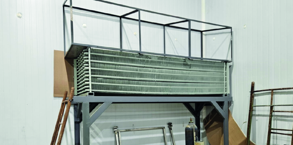 Soychú Salto - Syconfrio Soychú Salto - Syconfrio