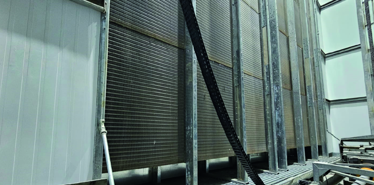 Soychú Salto - Syconfrio Soychú Salto - Syconfrio