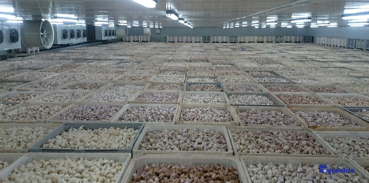 Cámaras de atmósfera controladas Cámaras de atmósfera controladas
